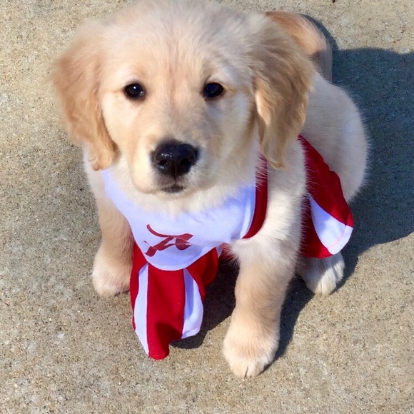 Hi Everybody ~ I’m Ellen! 🤗 - Picture 7 of 11